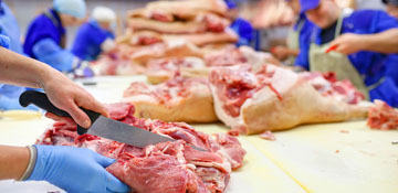 meat processing knives