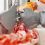 quality butcher saws