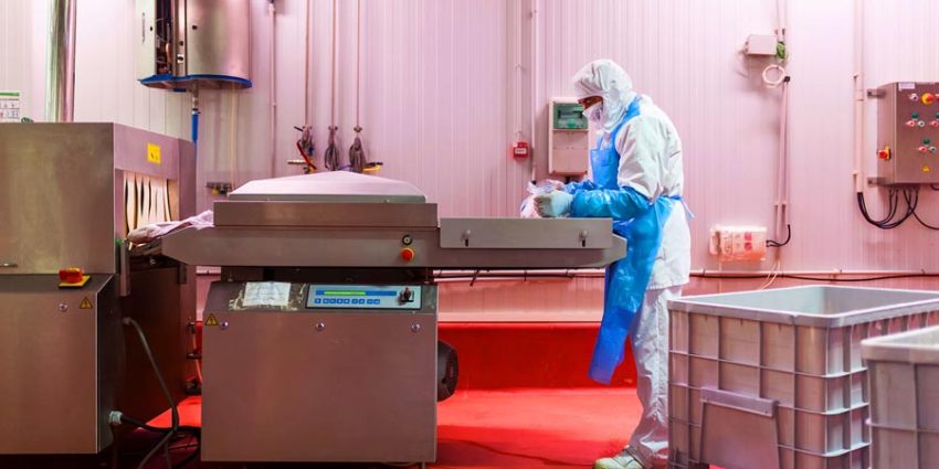 When Did Stainless Steel Become the Standard? A Timeline of Innovation