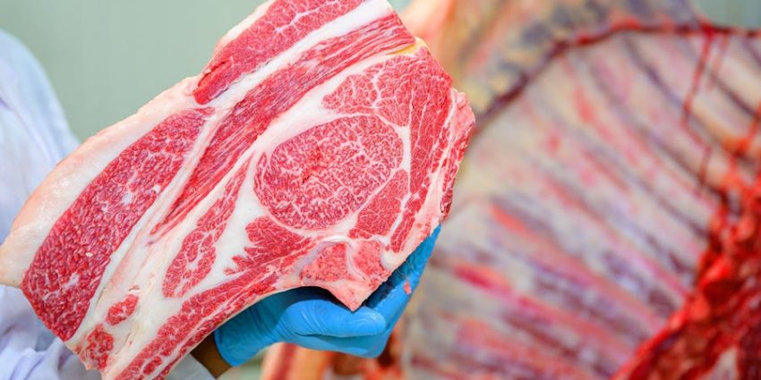 What Are the Unsung Heroes of Meat Processing? Spotlight on Specialty Tools