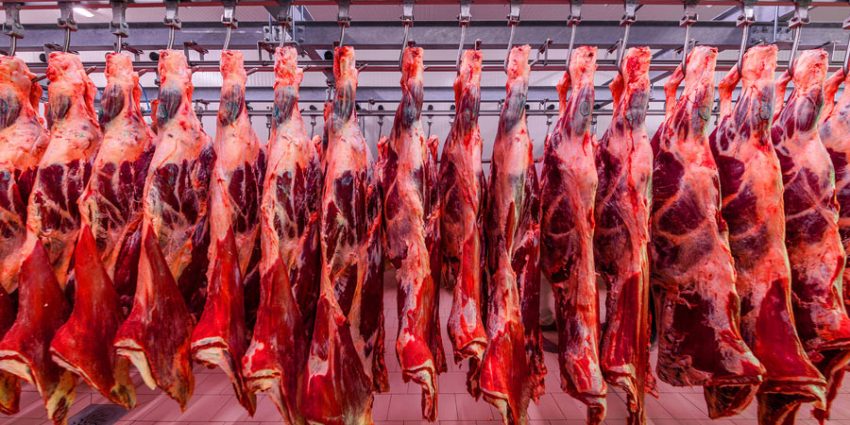 What Future Innovations Await Meat Processing Tools? Cutting Edge Technology