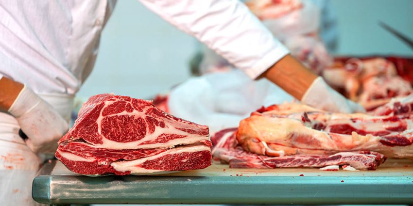 How Can the Right Tool Improve Your Product Yield? Efficiency in Every Slice