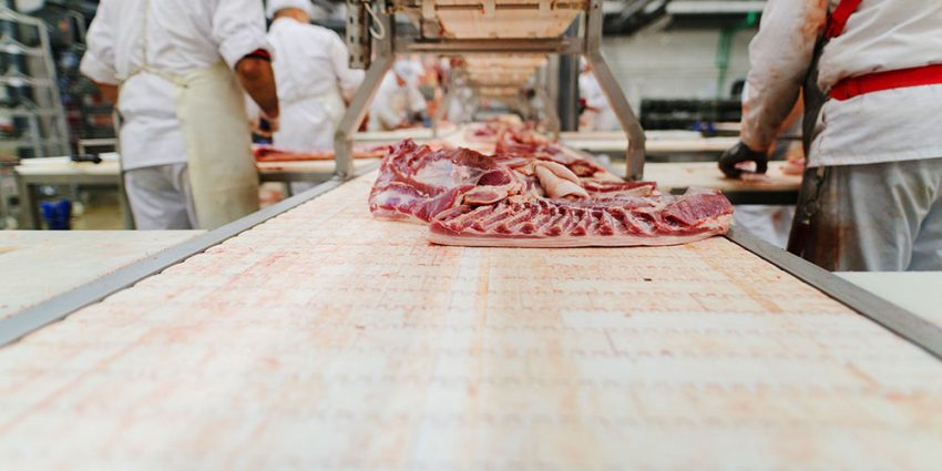 Where Can You Learn More About Meat Processing? Resources for Enthusiasts and Professionals