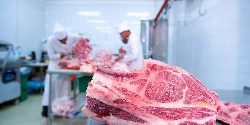 What Role Do Meat Processing Tools Play in Food Safety? Ensuring Hygiene in Every Cut