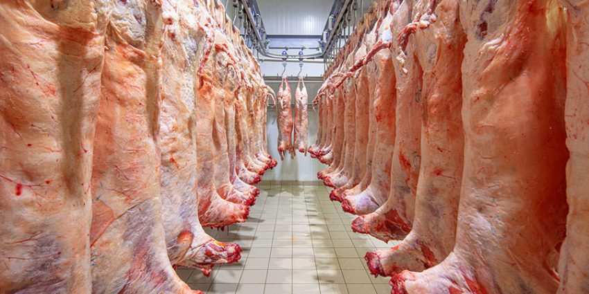 How Have Meat Processing Tools Evolved Over the Decades? A Historical Perspective