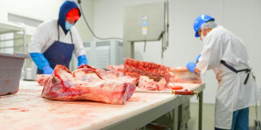How Do Different Meat Types Influence Tool Selection? Tailoring Equipment to Specific Cuts
