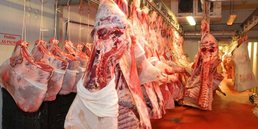What Role Do Meat Processing Tools Play in Reducing Food Waste? Maximizing Yield and Sustainability