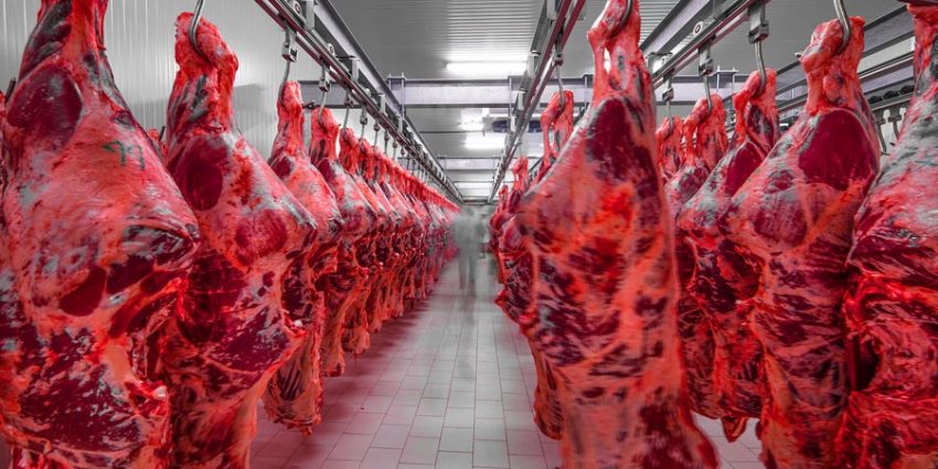 What Impact Does Tool Design Have on Meat Quality? The Science of Clean Cuts