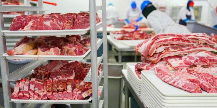 How Do Regulatory Changes Affect Meat Processing Tool Development? Adapting to Evolving Standards