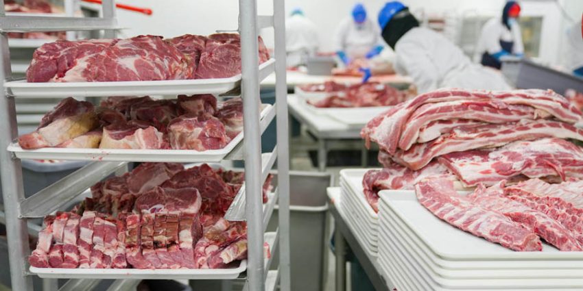 What Surprising Tools Can Revolutionize Your Meat Processing Game?