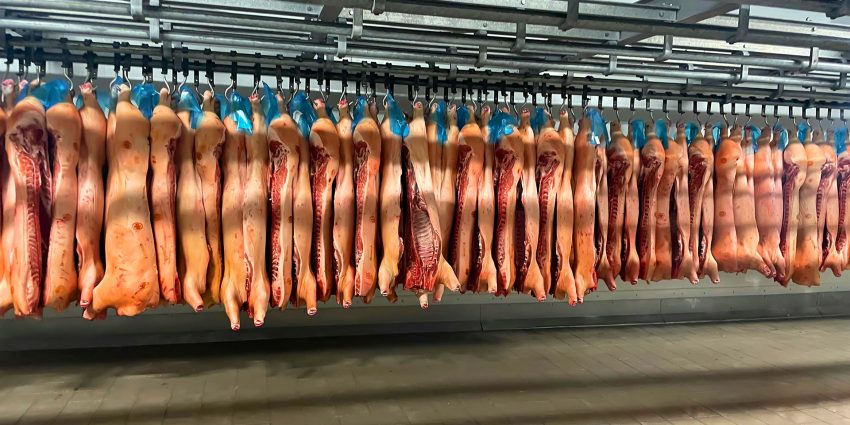 How Heavy-Duty Hooks and Gambrels Change Processing Flow