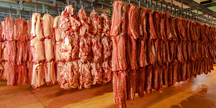 meat processing equipment