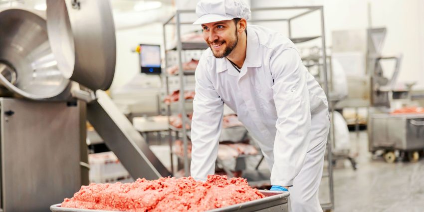 meat processing equipment