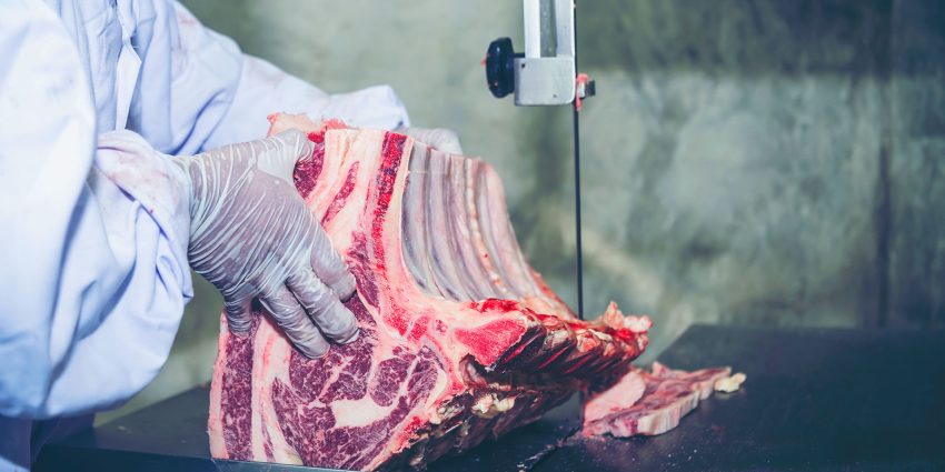 Butcher cutting large beef rack with band saw in commercial meat processing facility