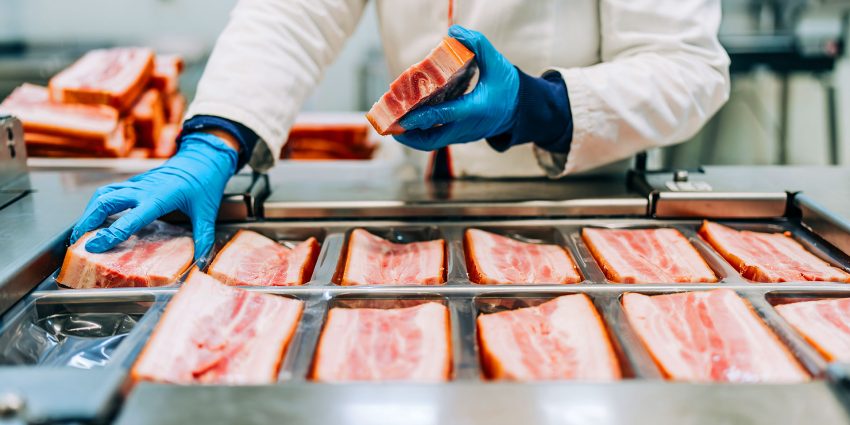 Meat processing worker in gloves packaging fresh pork slices on production line