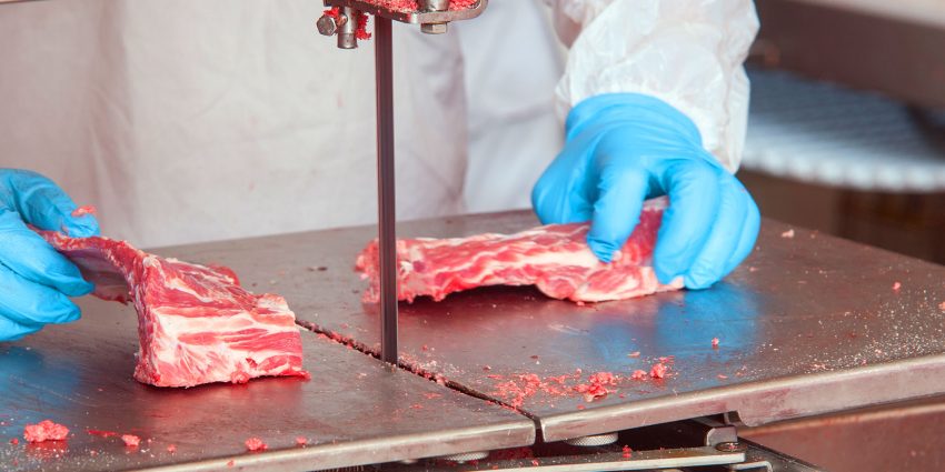Butcher cutting meat with band saw wearing blue gloves