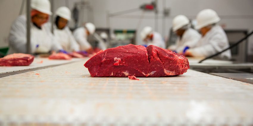 Beef cut on conveyor with workers processing meat behind
